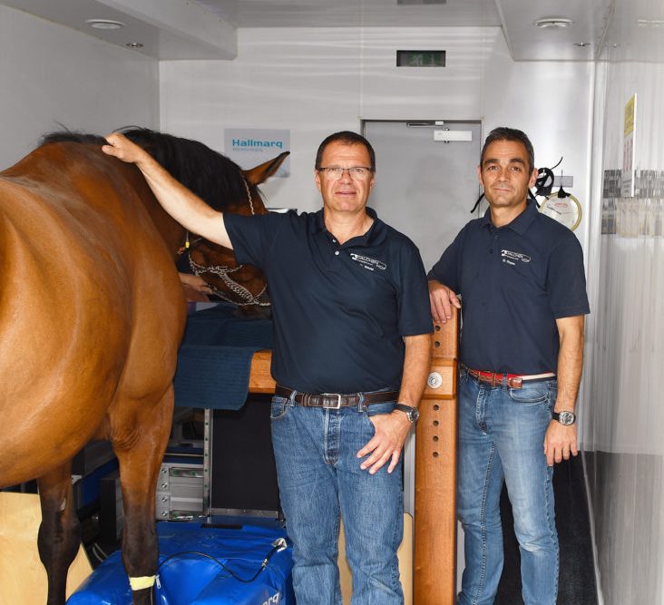 Hallmarq Veterinary Imaging 100th standing Equine MRI system