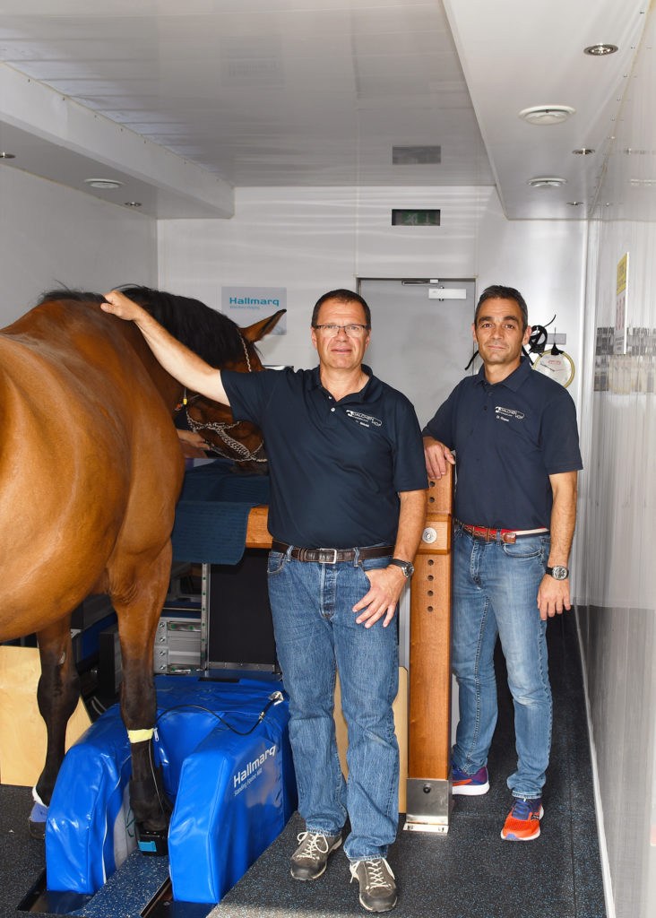 Hallmarq Veterinary Imaging 100th standing Equine MRI system