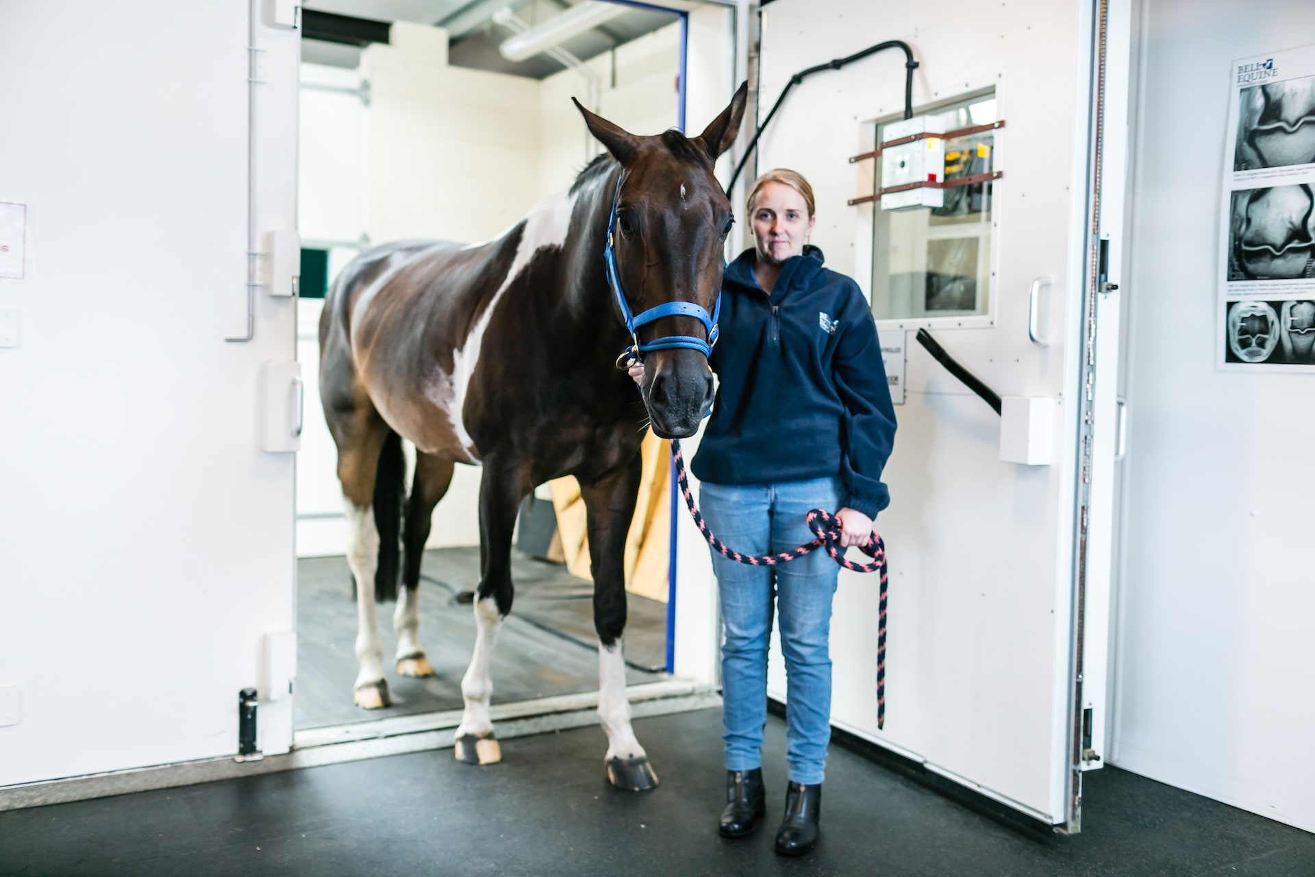 A vet with a horse in an MRI scanning room