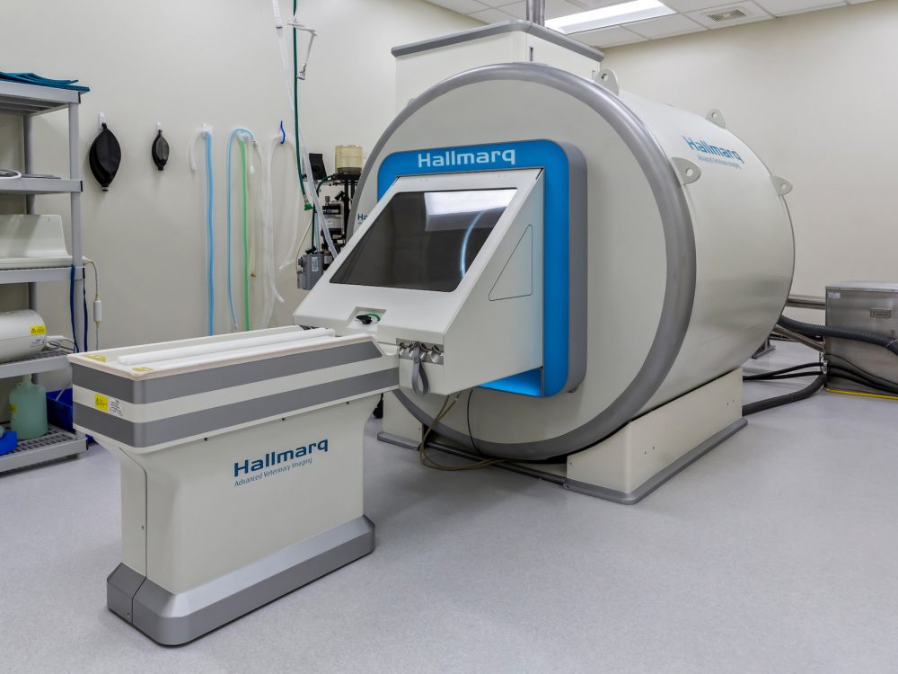 Small Animal MRI Machine