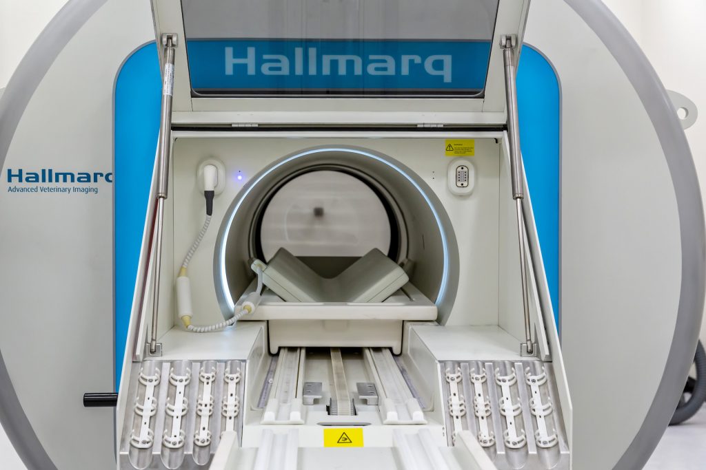 Small Animal MRI Machine