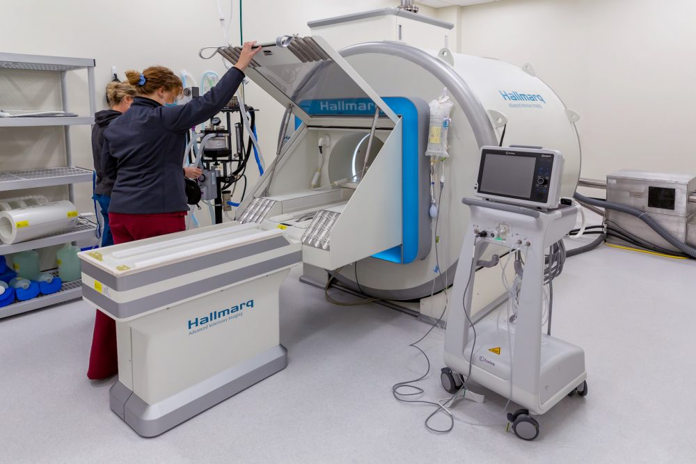 Small Animal MRI Machines | Hallmarq Veterinary Imaging