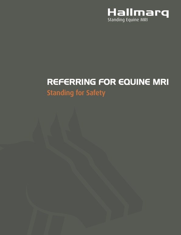 Equine Referring Vet Brochure 2020