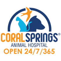 Coral Springs Animal Hospital