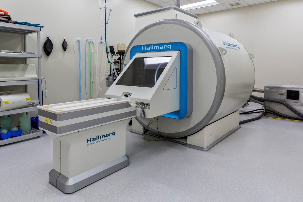 Hallmarq Introduces Next Generation Small Animal MRI to Diagnose Disorders in Dogs, Cats and Small Pets