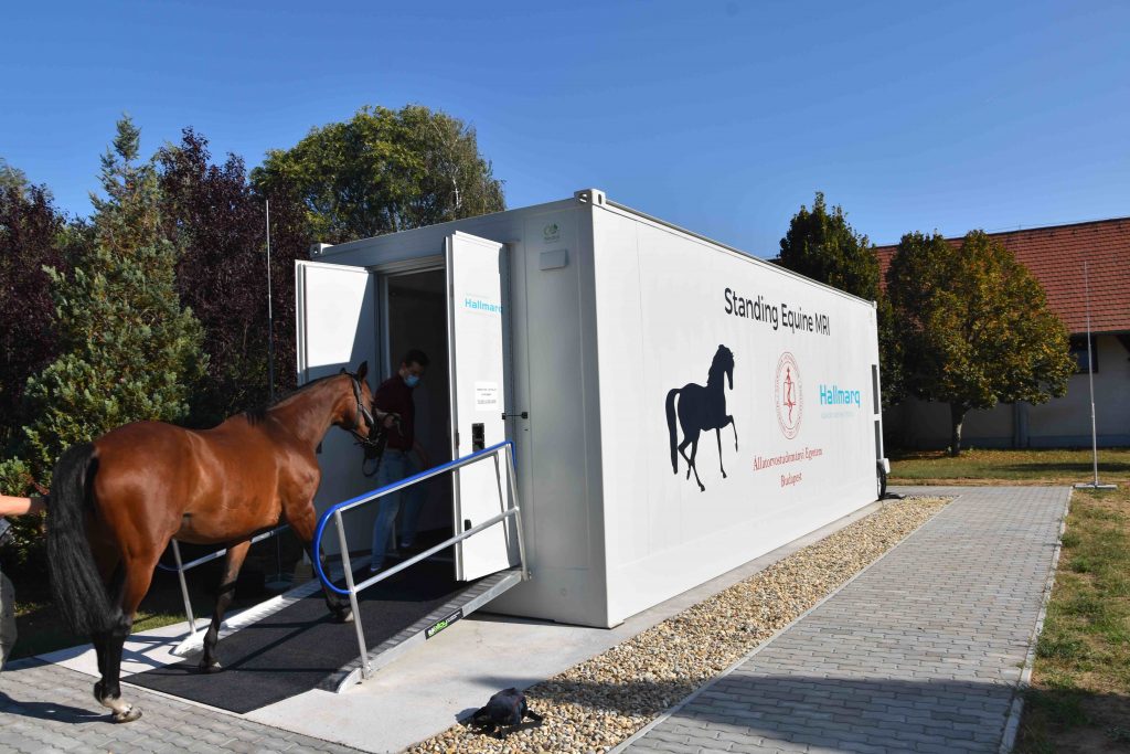 The University of Veterinary Medicine Budapest now offers Standing Equine MRI - Hallmarq Advanced Veterinary Imaging

www.hallmarq.net