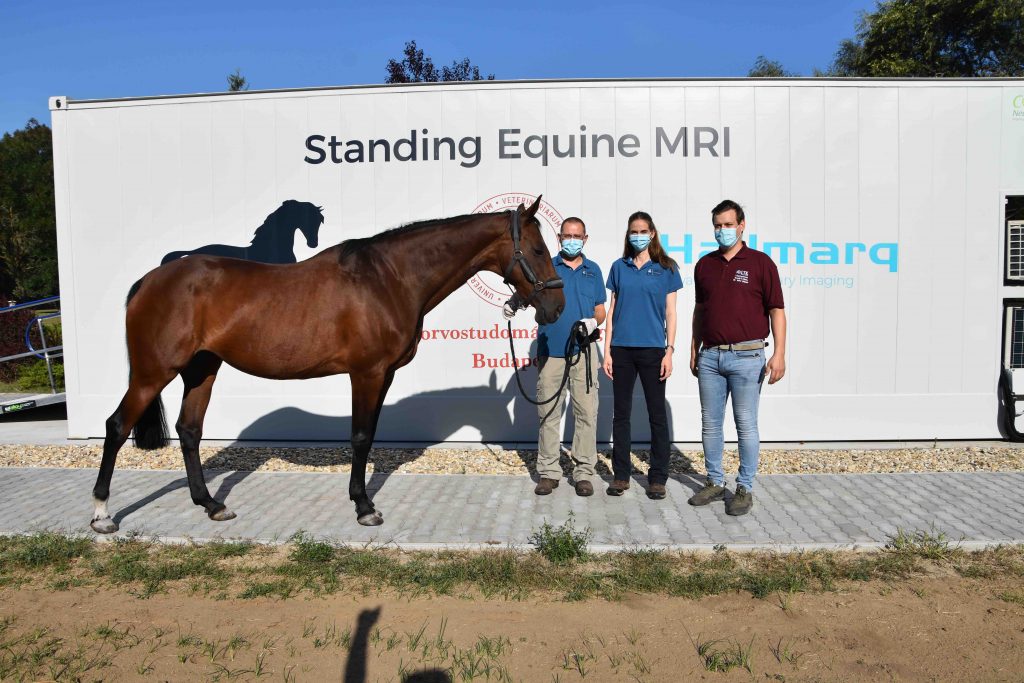 The University of Veterinary Medicine Budapest now offers Standing Equine MRI - Hallmarq Advanced Veterinary Imaging

www.hallmarq.net