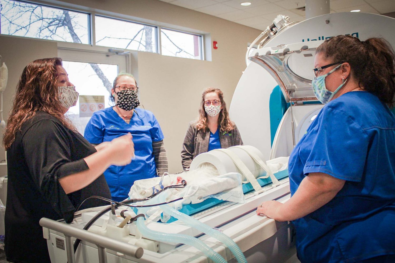 Veterinary Imaging Equipment Hallmarq Veterinary Imaging