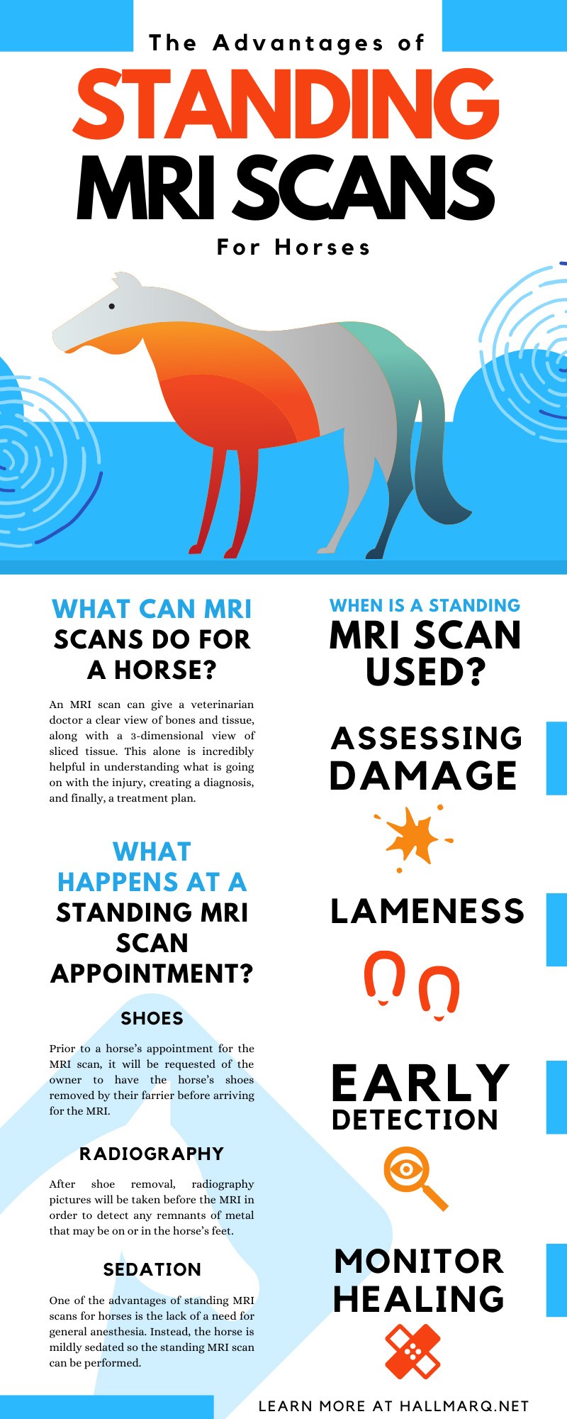 The Advantages of Standing MRI Scans for Horses