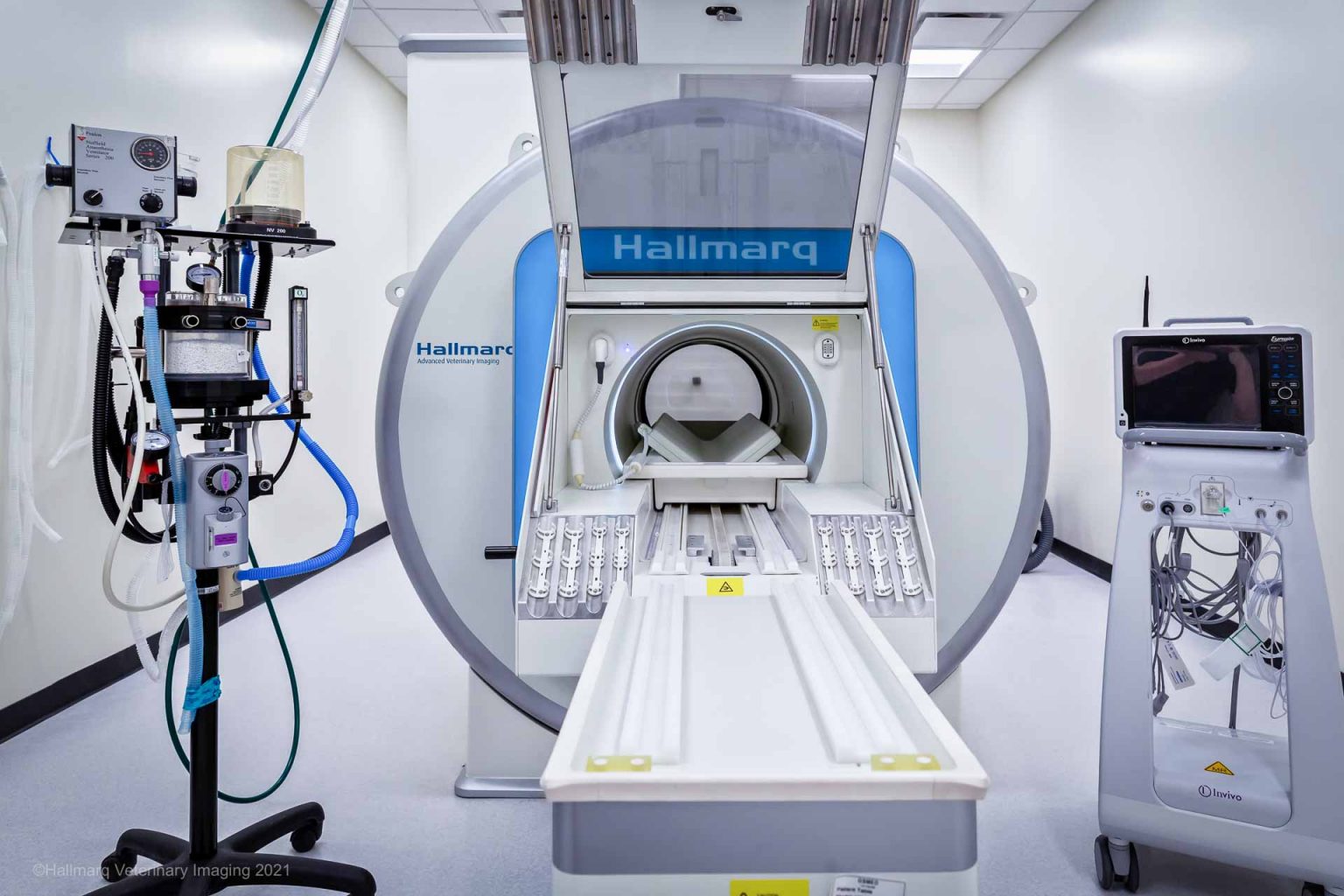 How MRI Can Help With Blindness in Dogs and Cats - Hallmarq Veterinary ...