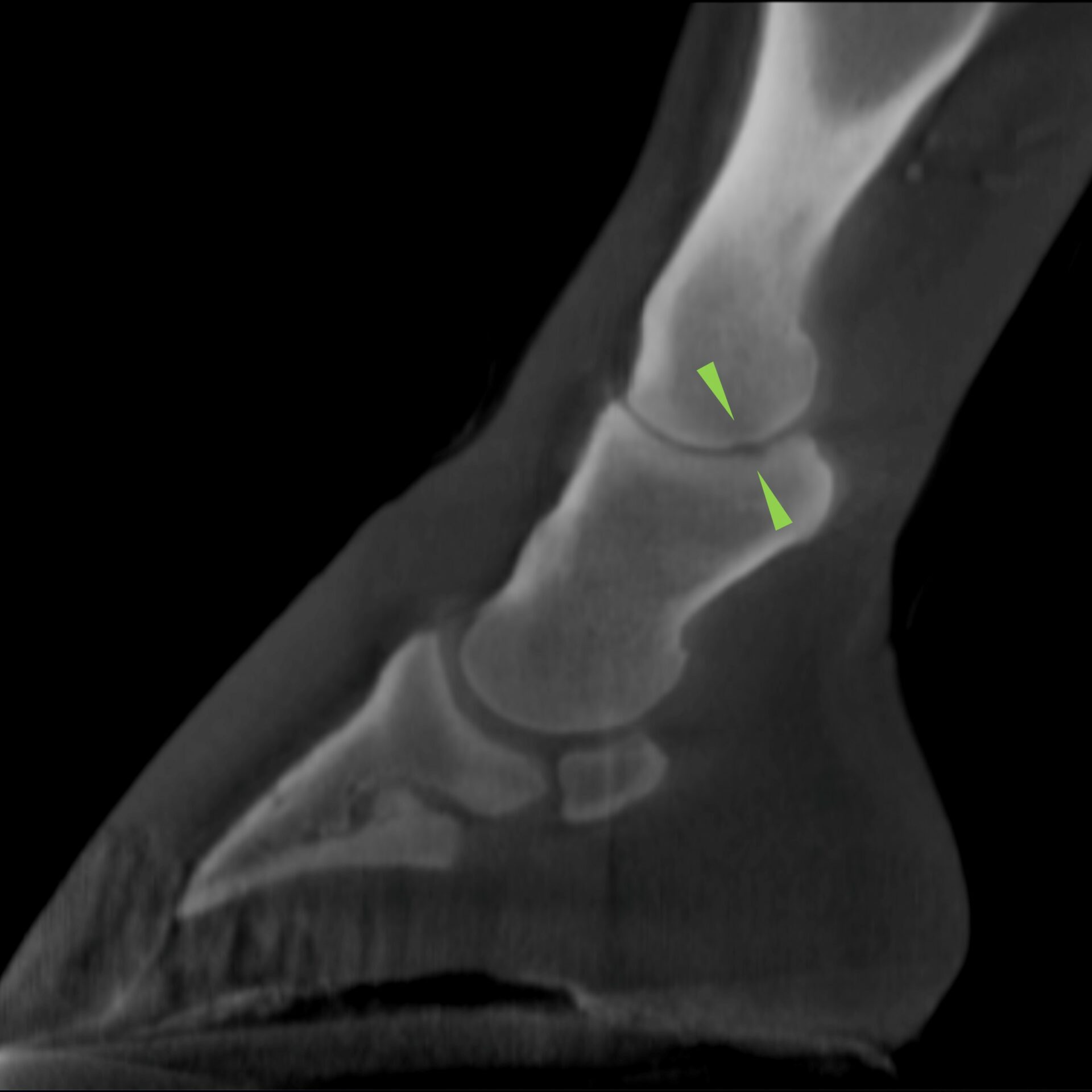 CT case study 2 DG