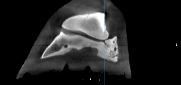 Elders Equine Case Study