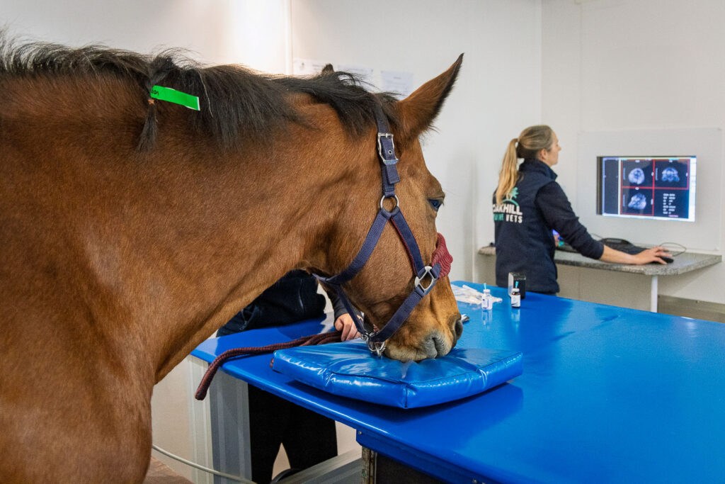 Standing equine MRI is perfectly safe for your horse requiring just light sedation for the procedure.