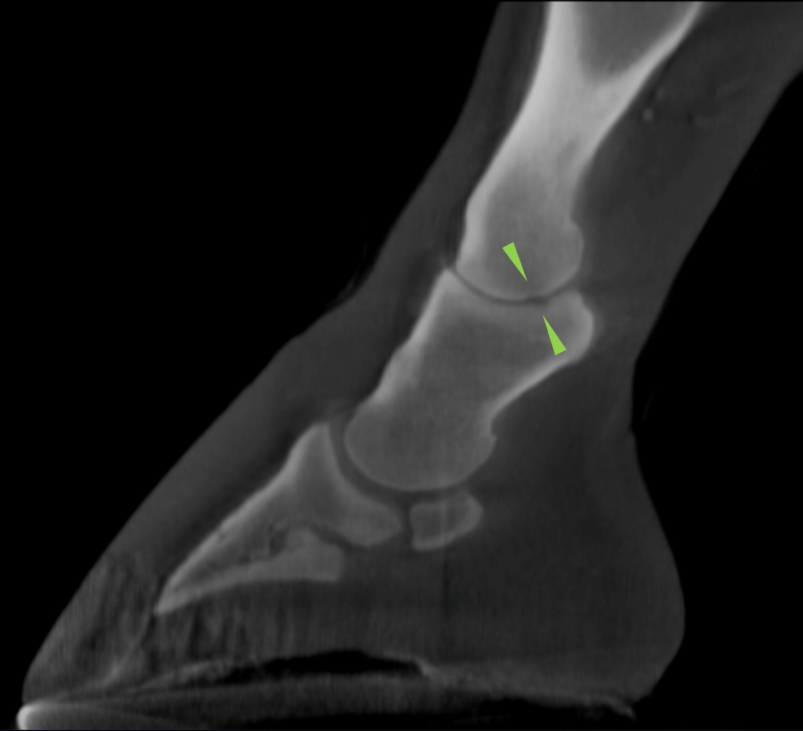 CT case study 2 DG