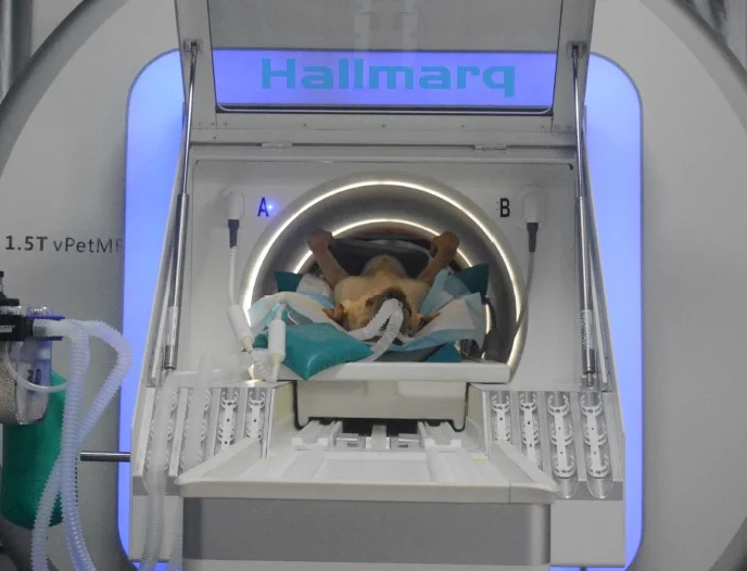 The Hallmarq 1.5T veterinary-specific MRI for the latest high-resolution imaging of the nervous system