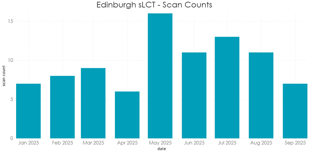 2025 Vision CT scans taken at the Royal (Dick) School of Veterinary Medicine, the University of Edinburgh for routine clench checks pre scanning with Standing Equine MRI