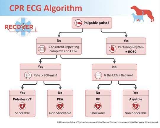 CPR ECG algorithm
