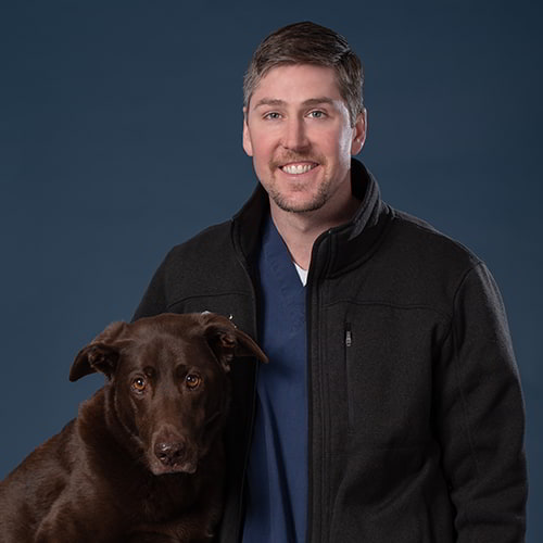 William J. Kay Jr., VND, DACVIM (Neurology), HVSH