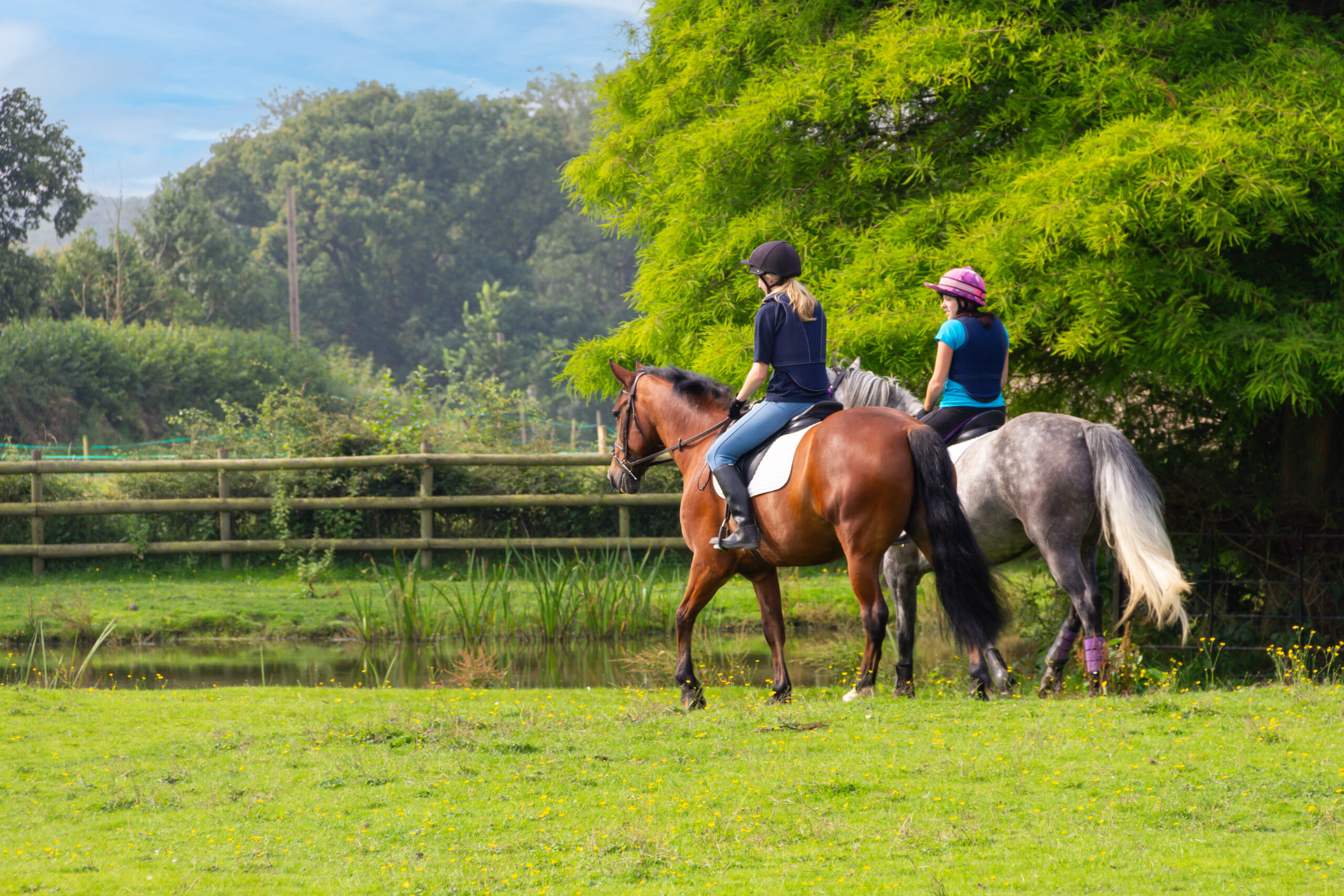 Lameness remains the most common medical issue affecting horses, yet owners often feel uncertain about recognising subtle signs or knowing when to call their vet.