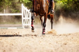 following PFN in appropriately selected horses. Approximately 70–85% of horses return to their previous or intended level of work.