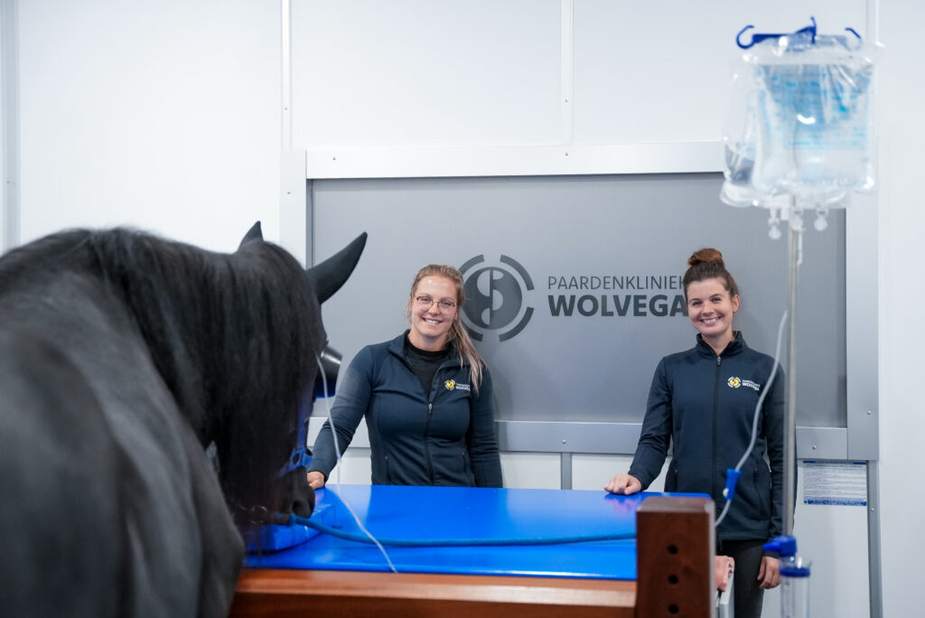 Don's drive to innovate is matched by an enthusiastic operator and clinical team invested in making Standing Equine MRI work across the practice.